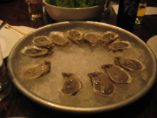 oysters1.JPG